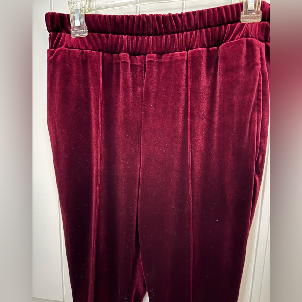 Plush Burgundy Velvet Pants. Petite small - Picture 3 of 5